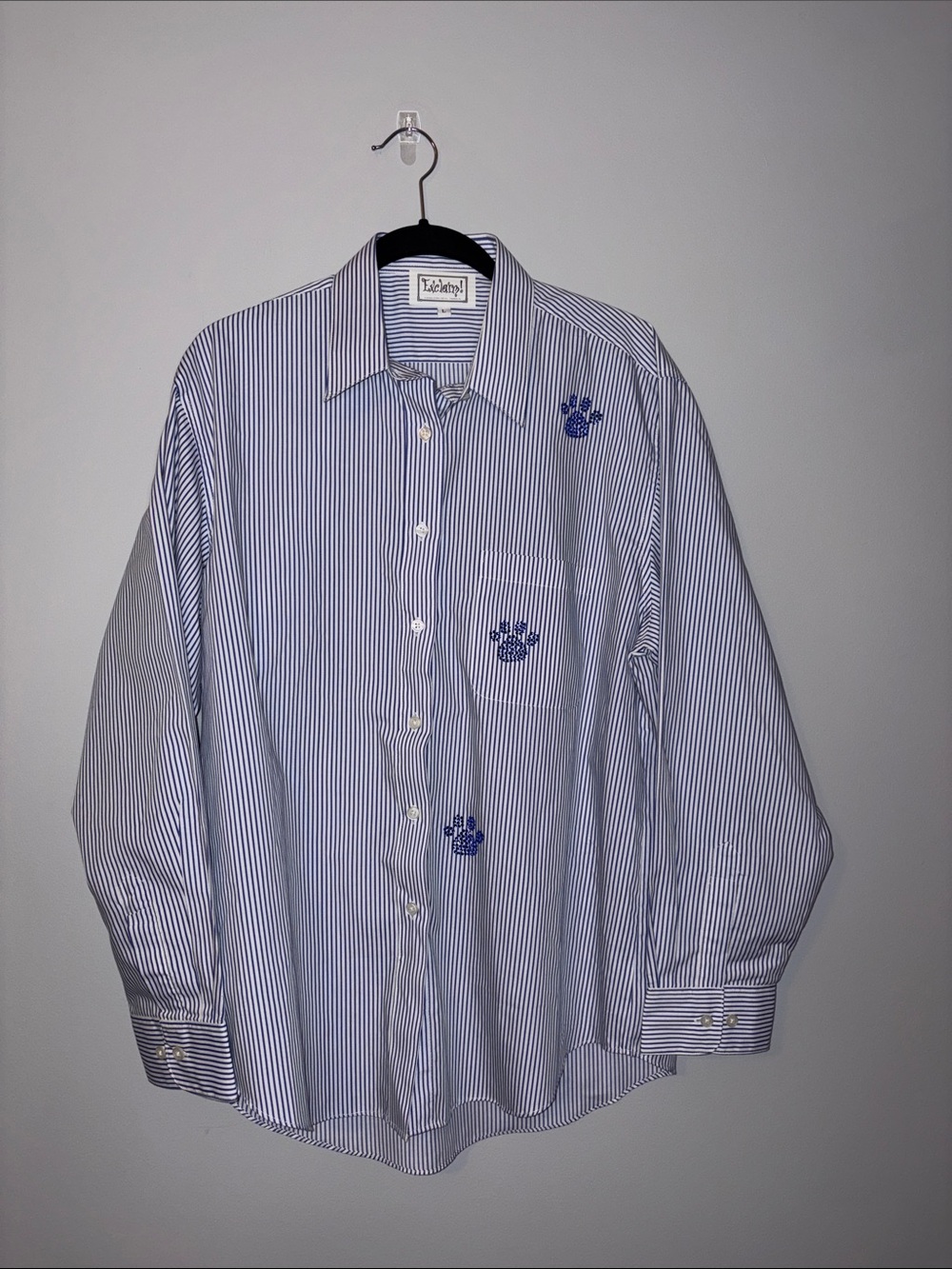 Women’s Blue Stripe Button-Down Shirt with Embroidered Details
